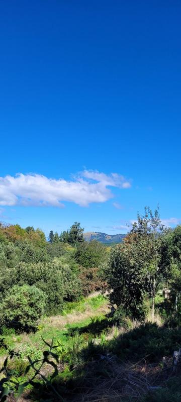 3 Bedroom Property for Sale in Hogsback Eastern Cape